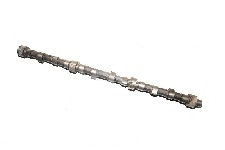 Ut000000436_1